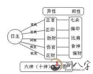 八字入门之十神“家族谱”