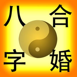 男女八字相合的多(如何看男女双方八字是否相合)