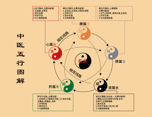 与语言相关的行业五行属什么