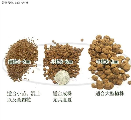 八字土多木多的人脾胃