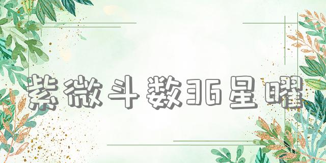 紫微斗数36星曜