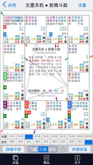 紫微斗数自助解盘