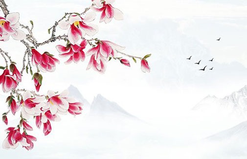 创意早教机构名字,招财个性化公司起名大全