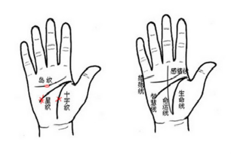 手相掌纹35招