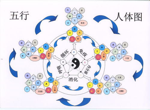 1 81数理 五行属性(名字总格数字1到81的五行属性)