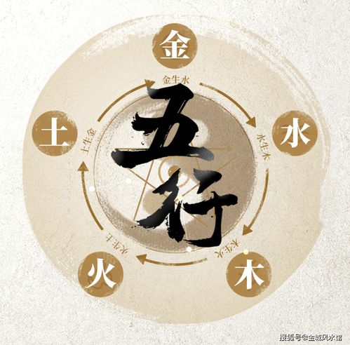 八字中的字是什么(八字中每个字代表什么)