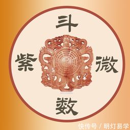 紫微斗数身宫在命宫(紫微斗数身宫和命宫怎么看)