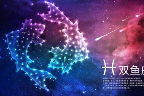 最关心双鱼女的星座,双鱼座的女生和什么星座男生最般配?