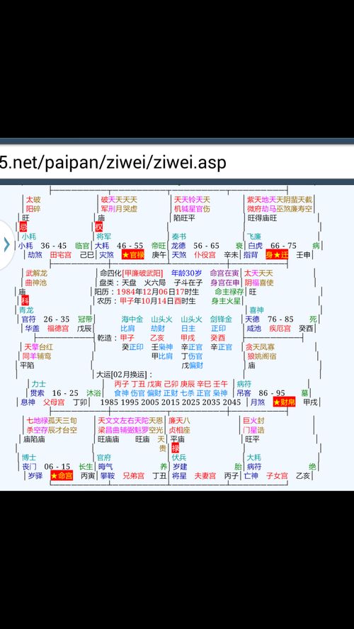 紫微斗数的排盘