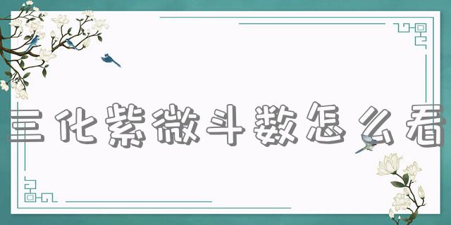 三化紫微斗数怎么看