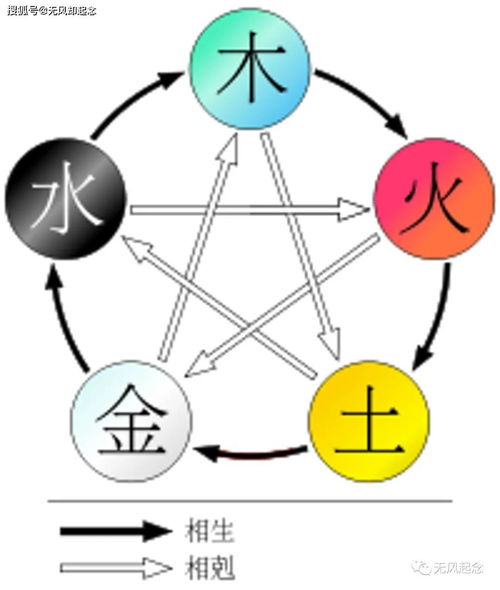 2011年的兔子五行属什么