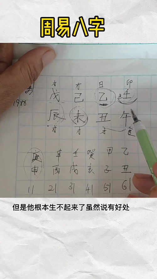 新生儿生辰八字算命里缺什么(怎么查宝宝出生五行八字缺什么)