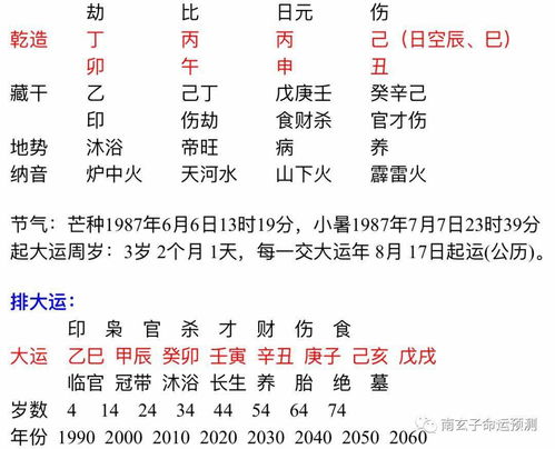 乙木日干好命的八字(乙木八字案例)