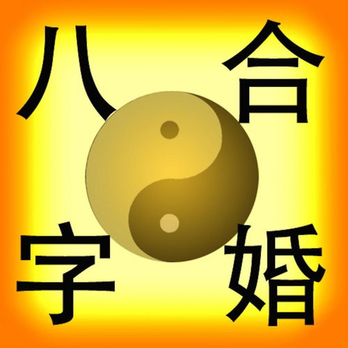 生辰八字配对看八字合婚(八字合婚配对 免费测试)