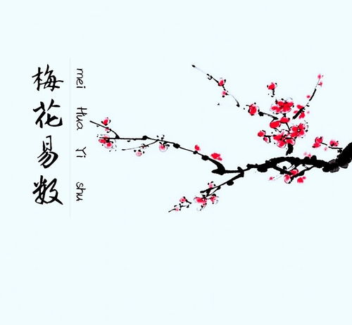 用八字算梅花易数