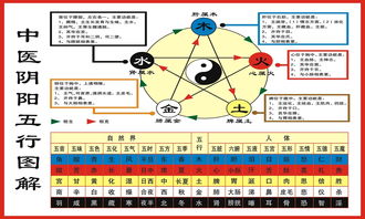 五行中的火代表什么含义