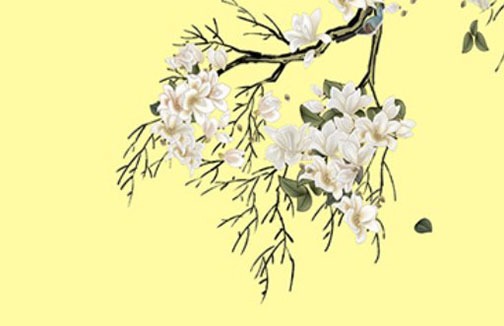 2002年属马最好手机号,吉利数字与幸运号码分析