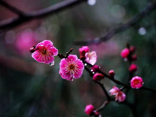 梅花易数算出来的东西怎么改