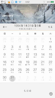 阳历1981年12月14日八字