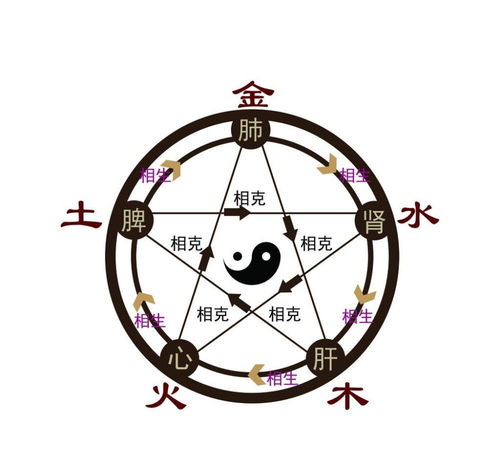 五行元素的文字(以文字为基础设计元素)