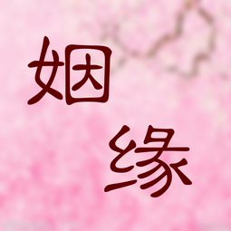 八字缺金会影响感情(八字缺金的女人怎么化解)