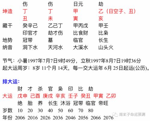 八字命理基础之甲木篇(甲木八字实例详解)